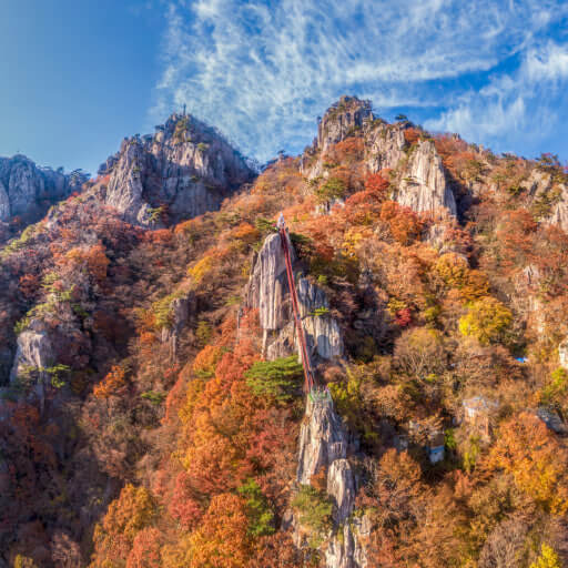 2025 대둔산 단풍 절정시기 및 트레킹코스, 주차, 맛집, 주변명소 사진