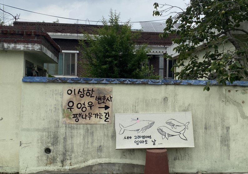 우영우 팽나무