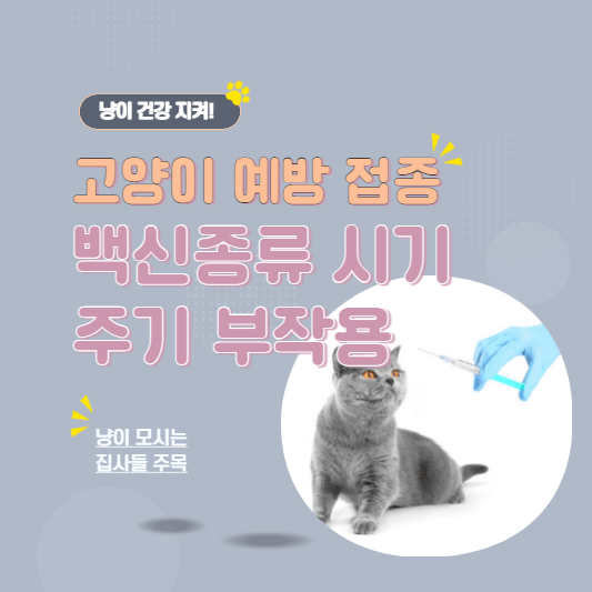 고양이예방접종