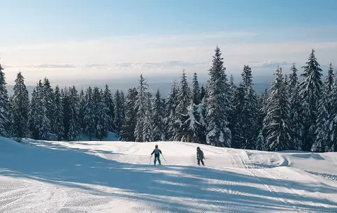 눈동산