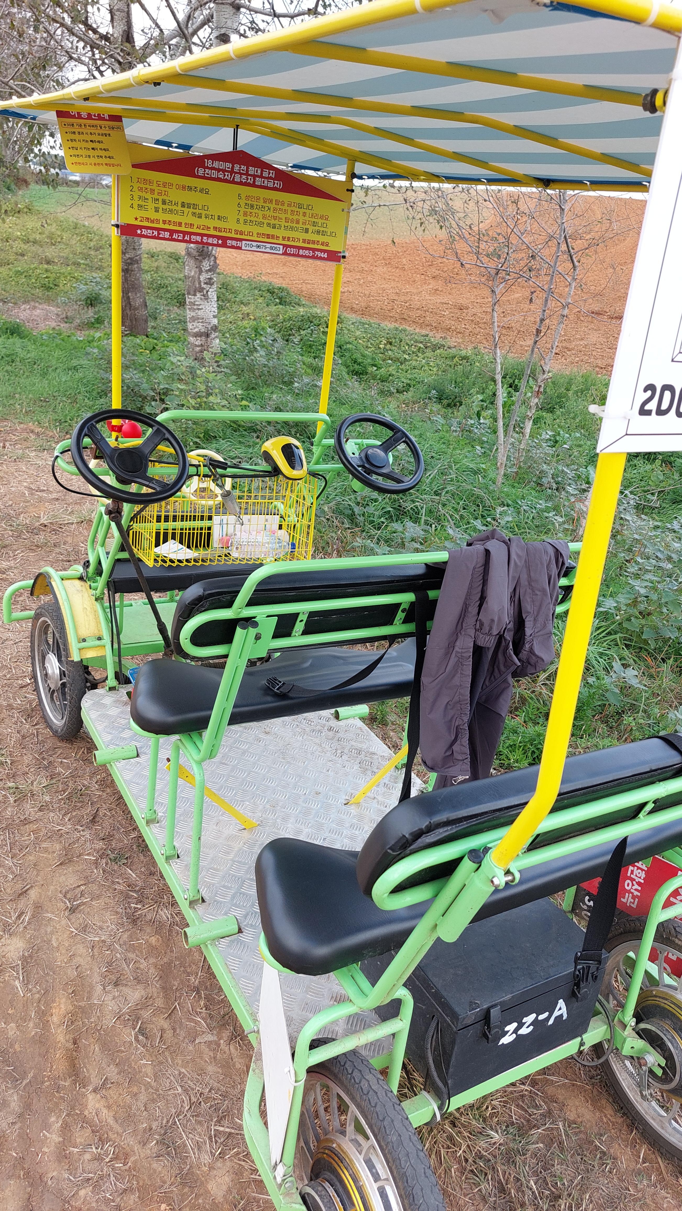 안성팜랜드 전기자전거 대형 사이즈