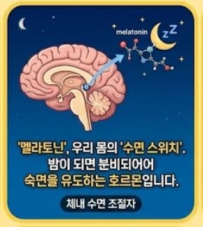 불면증과 멜라토닌&amp;#44; 수면제 대신 음식을 찾아야 하는 이유