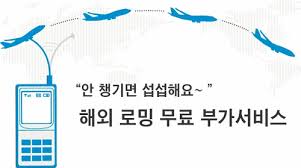  로밍 사용 방법 