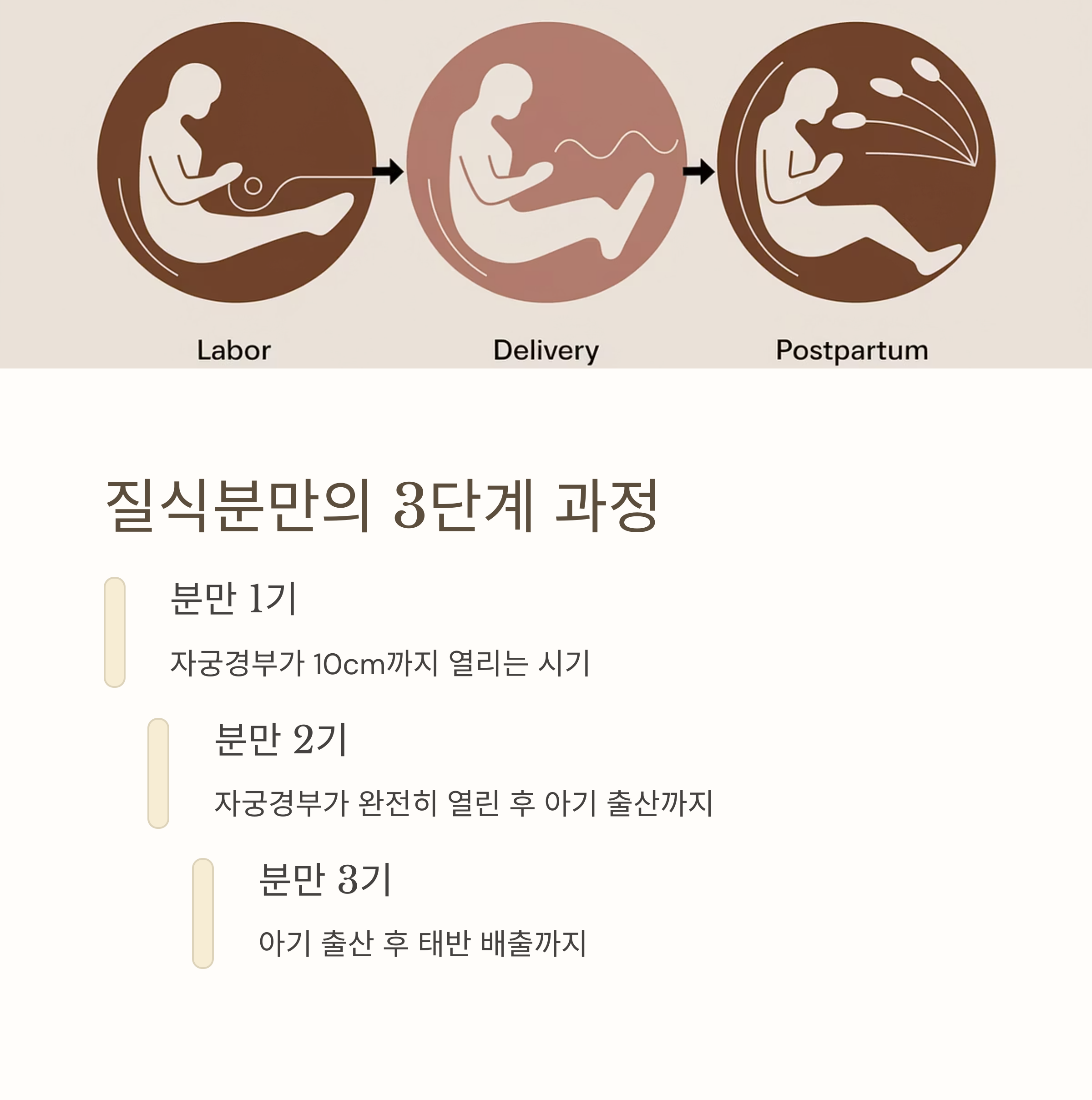 자연분만 &ndash; 질식분만 3단계 과정