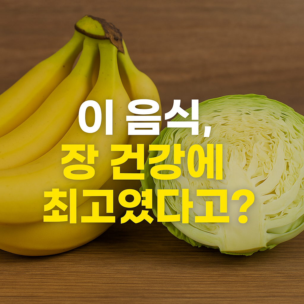 장 건강에 좋은 음식, 장 건강에 좋은 식단, 프로바이오틱스, 유산균