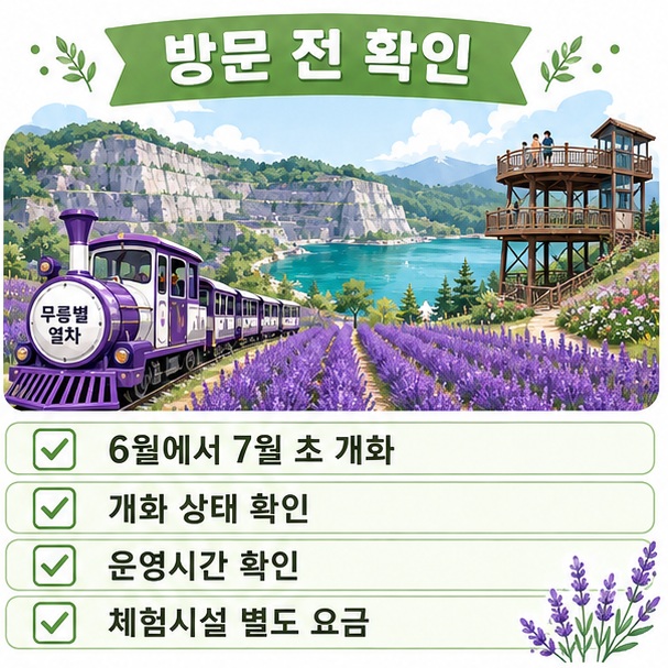 라벤더 개화 상태와 운영시간, 무릉별열차와 체험시설 이용 여부를 방문 전에 확인해야 한다는 내용을 정리한 이미지