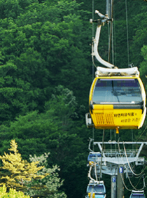 발왕산 케이블카 요금