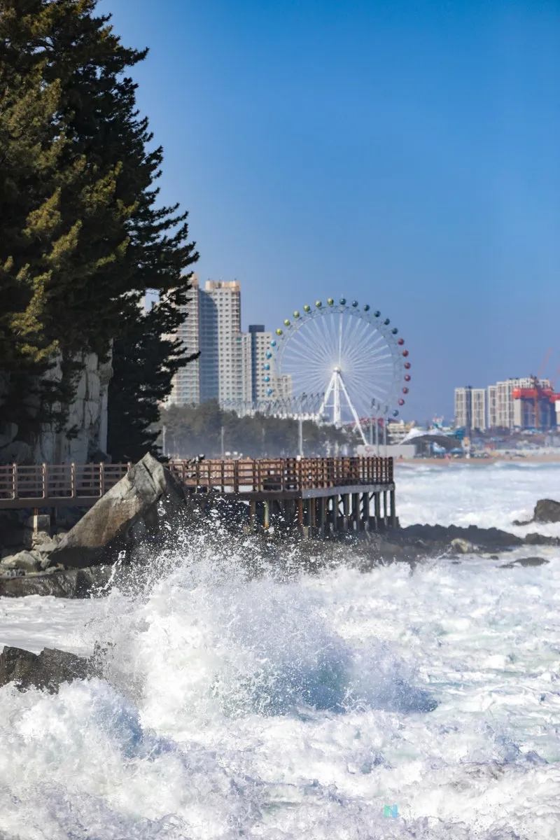 속초 가볼만한곳 베스트 10 여행지 정보_8