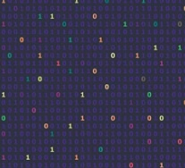 코딩 언어 예시