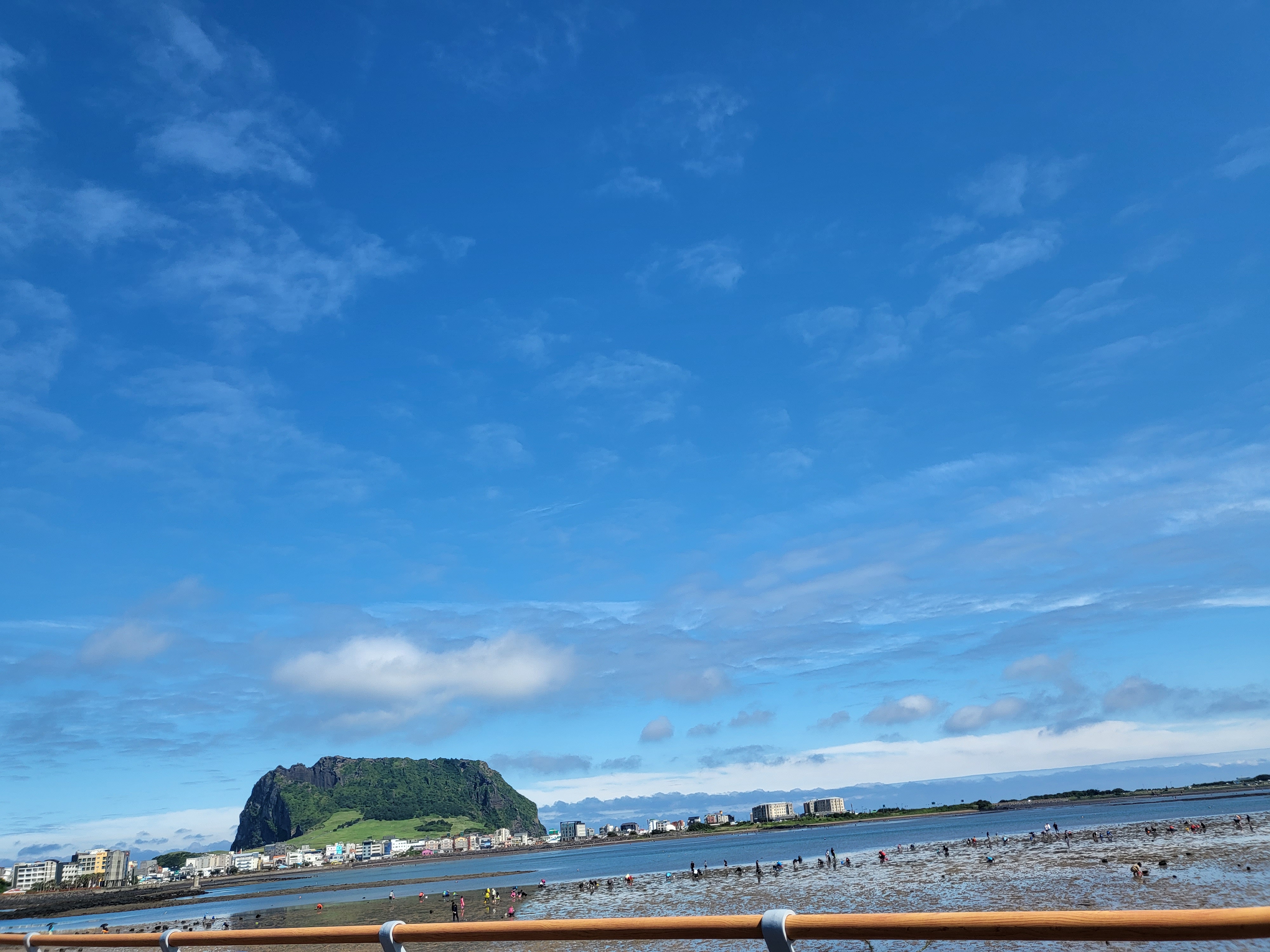 제주도 휴가중 풍경