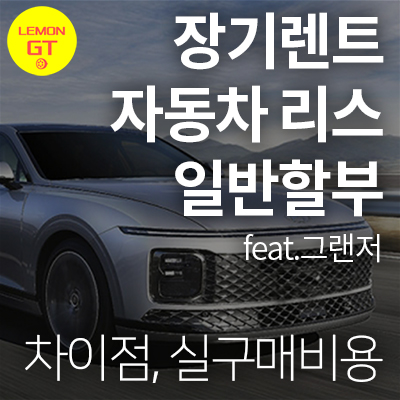 장기렌트리스차이