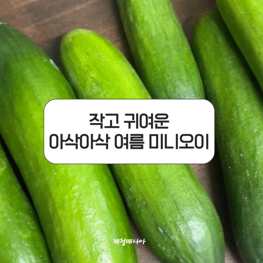 미니오이