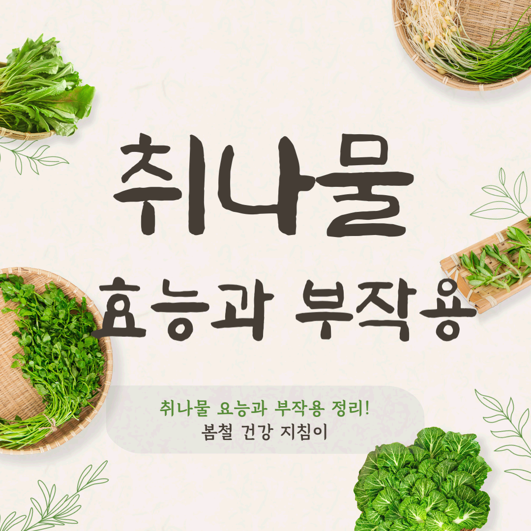 취나물 효능과 부작용 총정리 봄철 건강 지킴이