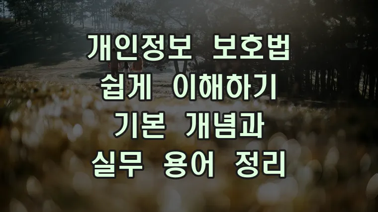 개인정보 보호법 쉽게 이해하기 기본 개념과 실무 용어 정리