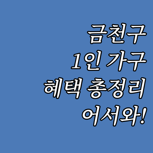 2025 금천구 1인 가구 지원 어서..