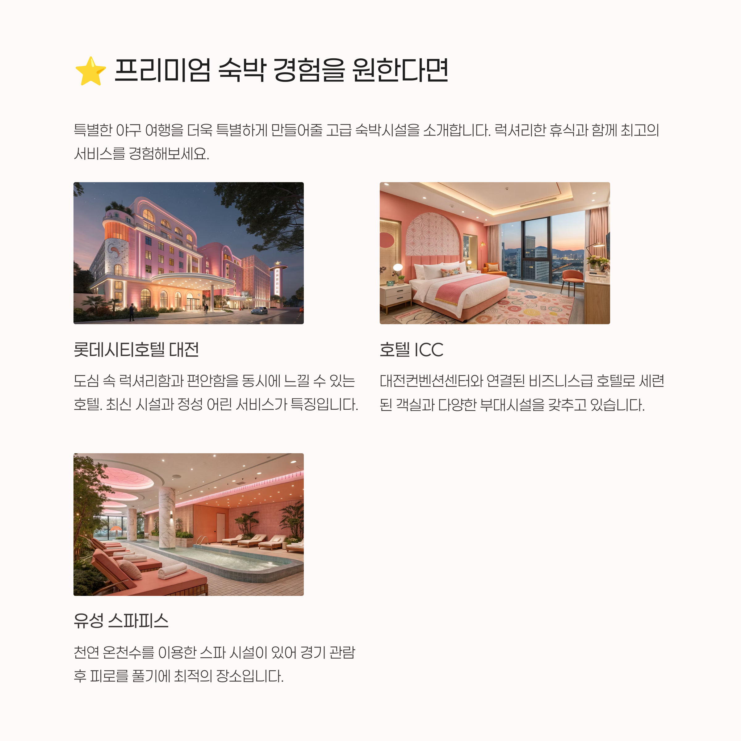 ⭐ 프리미엄 호텔 추천