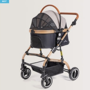 2023 반려인 능력시험