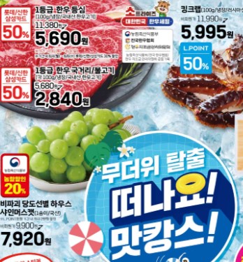 롯데마트 전단 할인 행사 혜택 및 알뜰 쇼핑 관련사진