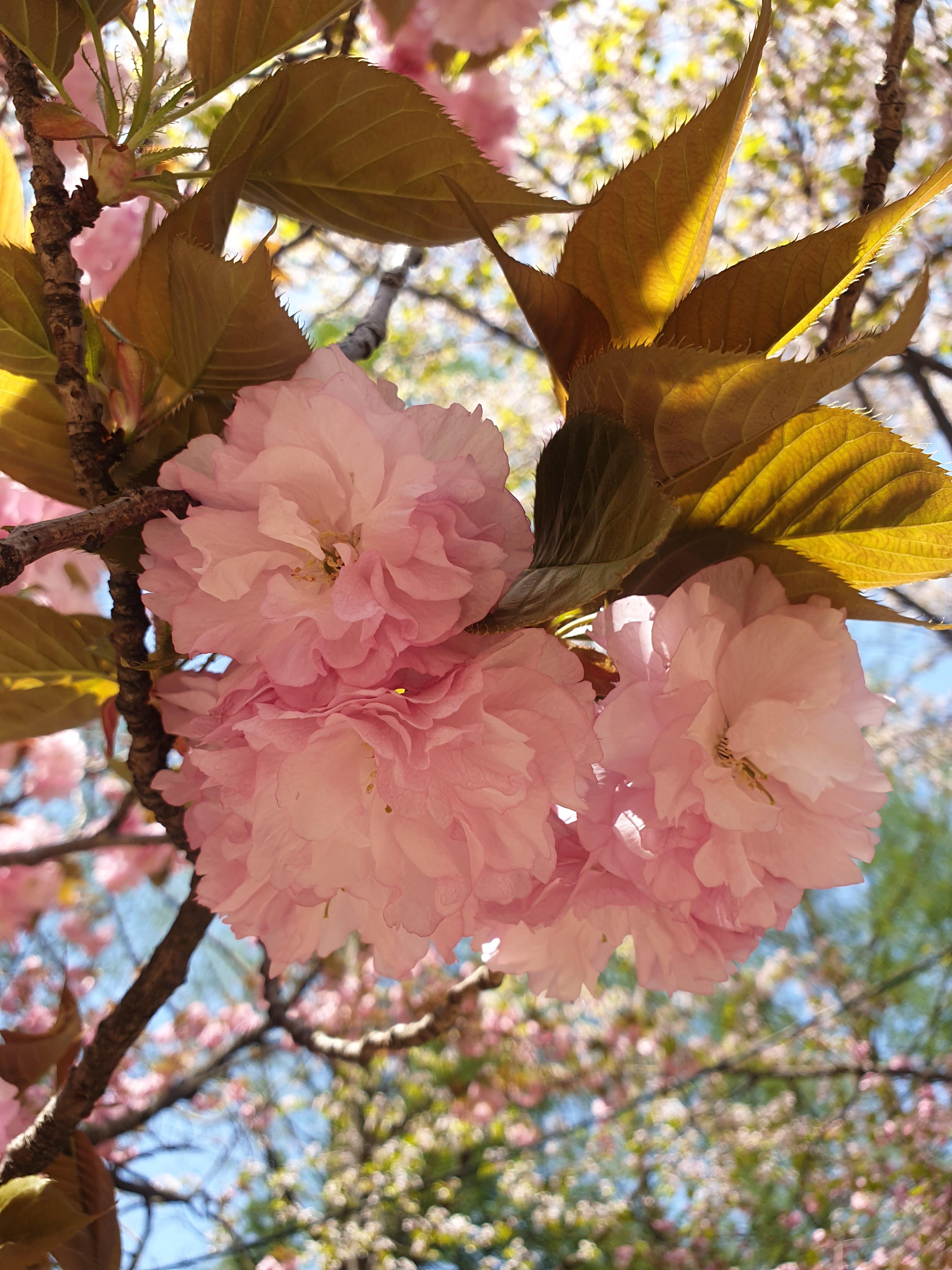 경주 여행