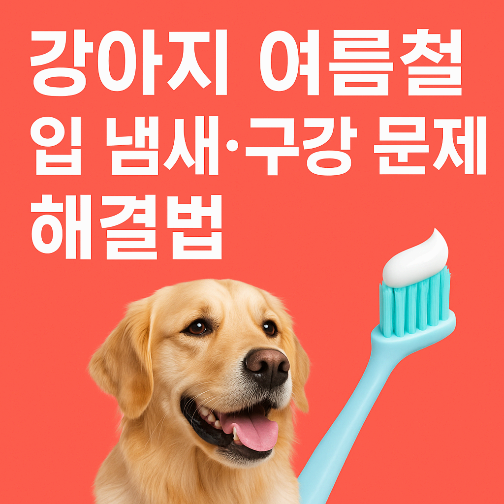 강아지 여름철 입 냄새·구강 문제 해결법 – 구취, 잇몸염, 침 분비 이상까지 체크