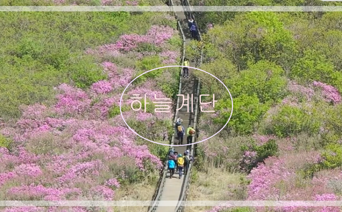 황매산 철쭉축제 등산코스