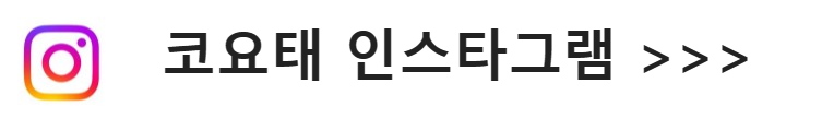 코요태인스타