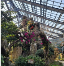 우리꽃식물원 6일간 무료 개방