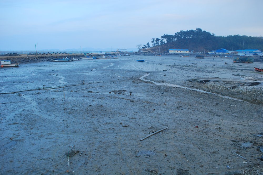 장흥군 대덕읍 옹암마을