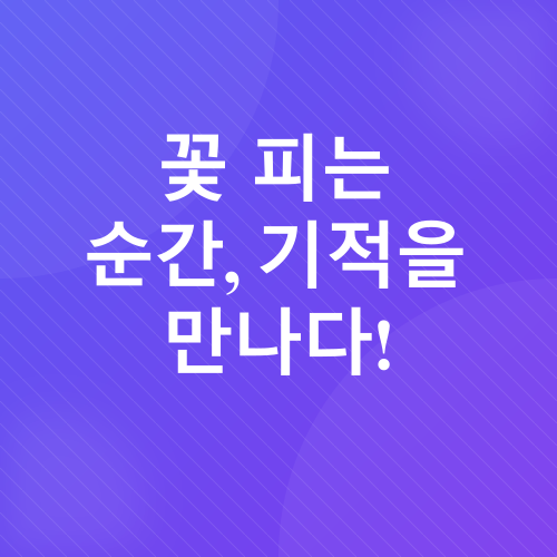 방울토마토 키우기_2