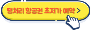 땡처리 항공권 초저가 예약