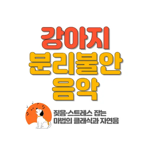 강아지 분리불안 음악