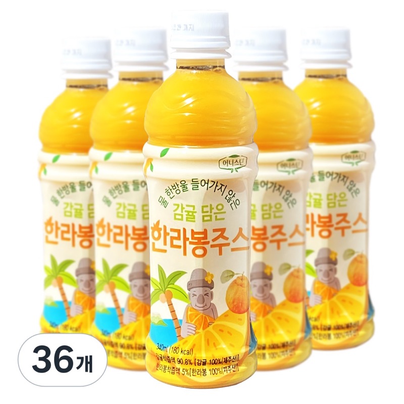 제주 겨울 감귤 한라봉