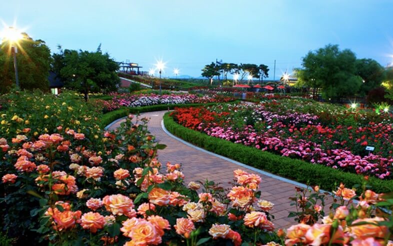 곡성 세계장미축제