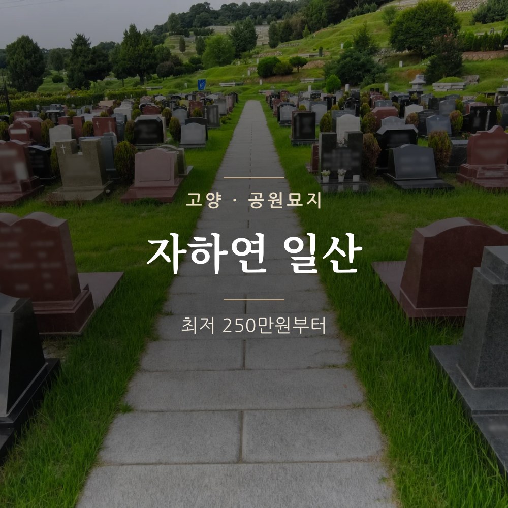 자하연 일산ㅣ 고양 공원묘지 안내