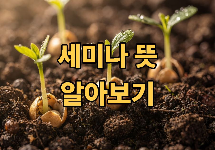 세미나 뜻 의미