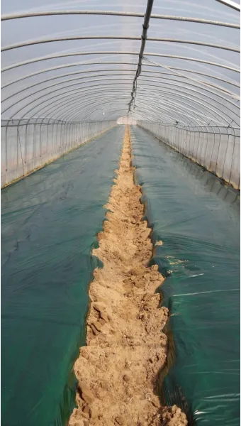 멀칭 필수 가이드 비닐 왕겨 볏짚 잡초 수분관리 효과_10