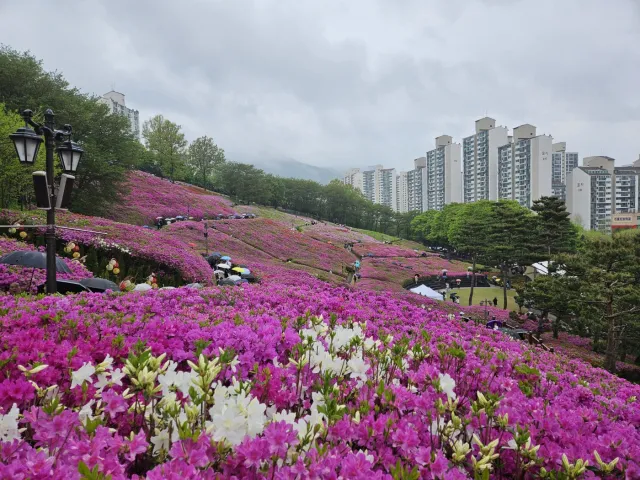 군포 가볼만한곳 베스트10 현지인 추천 필수코스_4