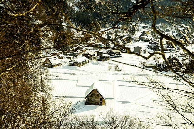 도심 속 초소형 주택, 공간 활용으로 넓어 보이는 비결
