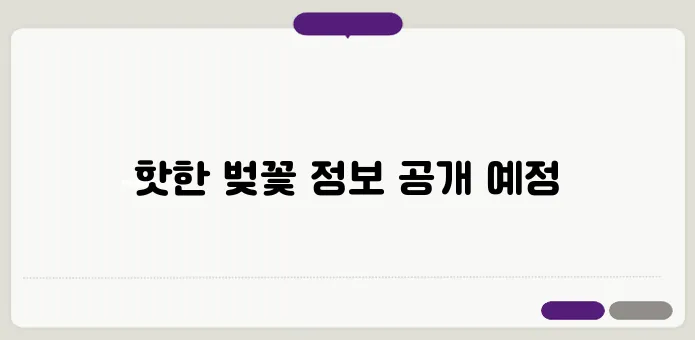 2025년 화담숲 벚꽃 시즌 예약 방법과 유용한 팁 알아보기!