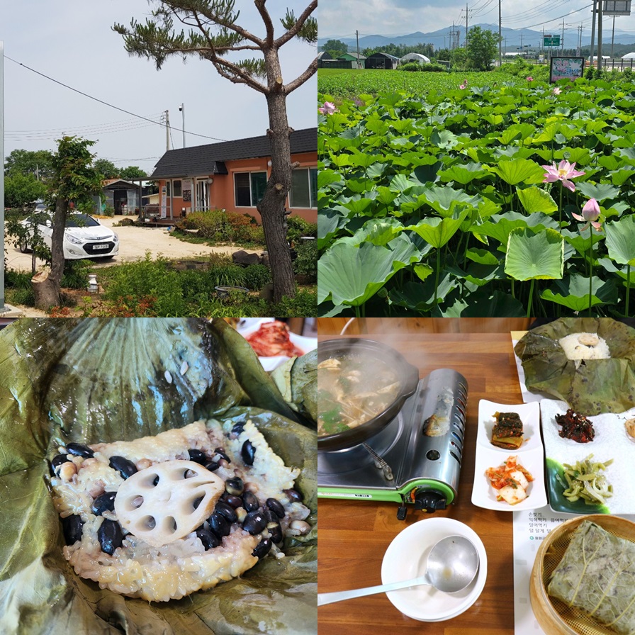 철원 연잎밥