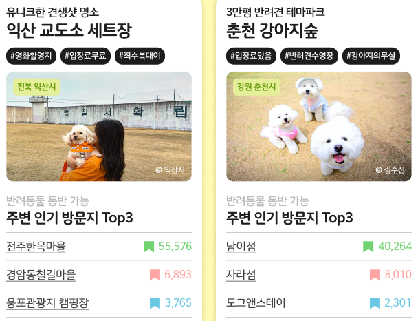 반려견 반려모 동반 여행 관광