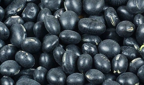 서리태 파종 후 유의할 점 3