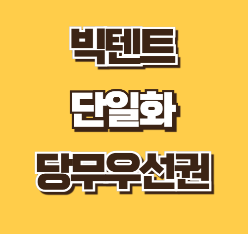 빅텐트뜻 단일화 뜻 당무우선권 의미 2025 대선 정치 전략 용어