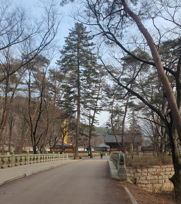 법주사 가는길 수정교