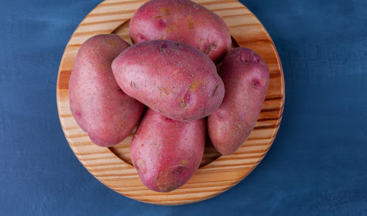 저칼륨혈증 결론