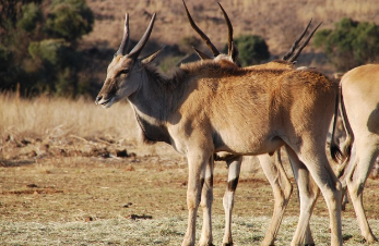롯데 이노베이트 신입 연봉 2025 9