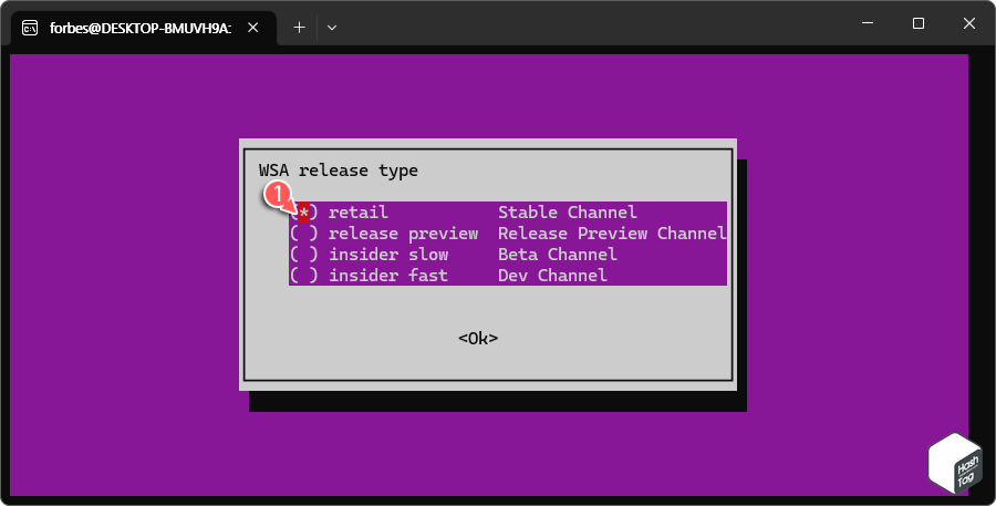 WSA release type 선택