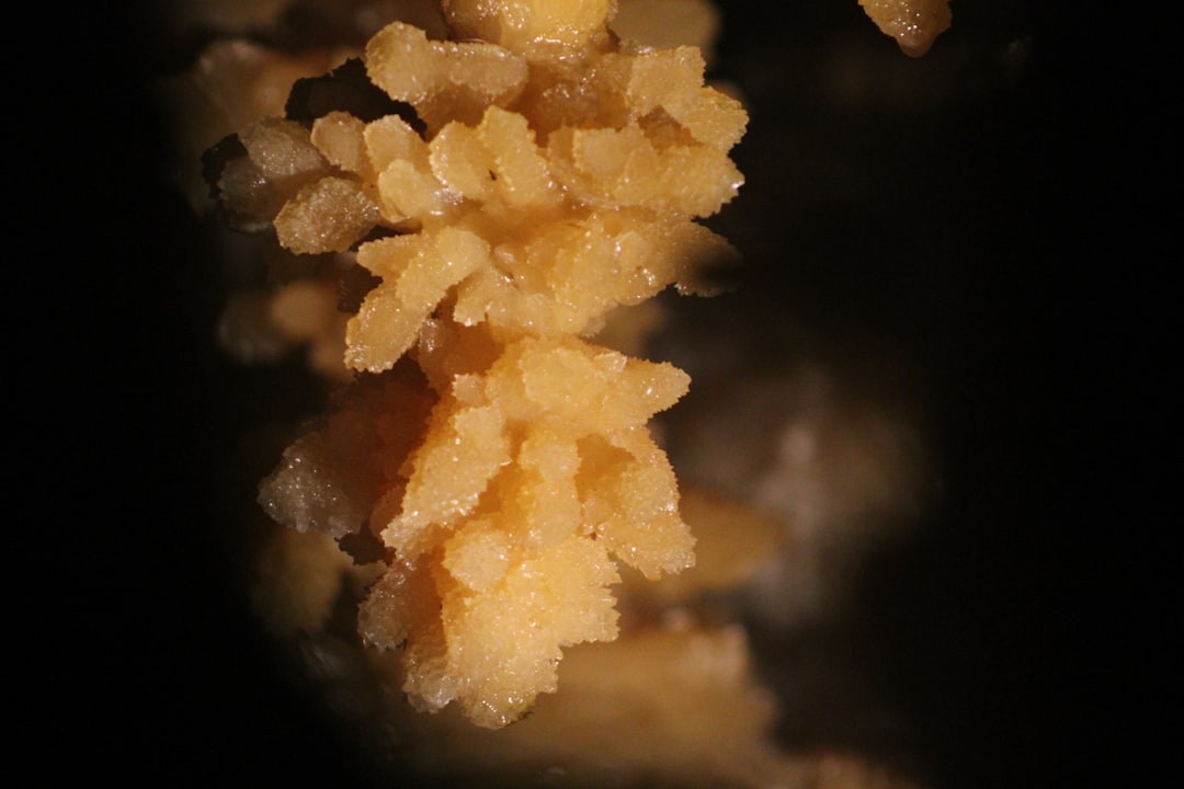 Folic acid