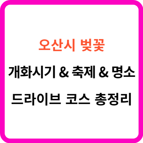 오산 벚꽃 개화시기 명소 드라이브 코스 축제 를 한눈에! 썸네일