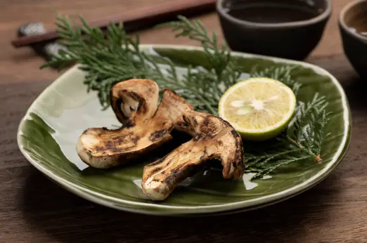 가을 제철식품 송이버섯 효능 효과 및 가격